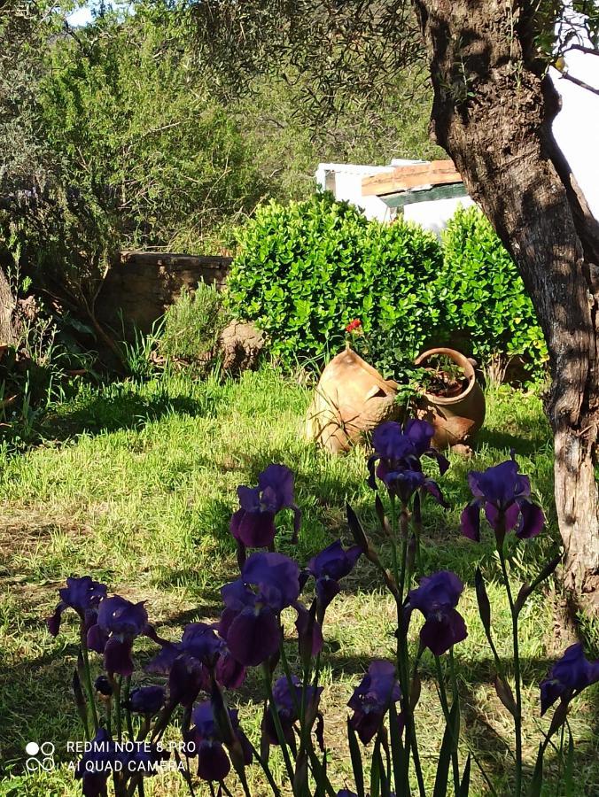 El Lucero Affittacamere Alájar Esterno foto